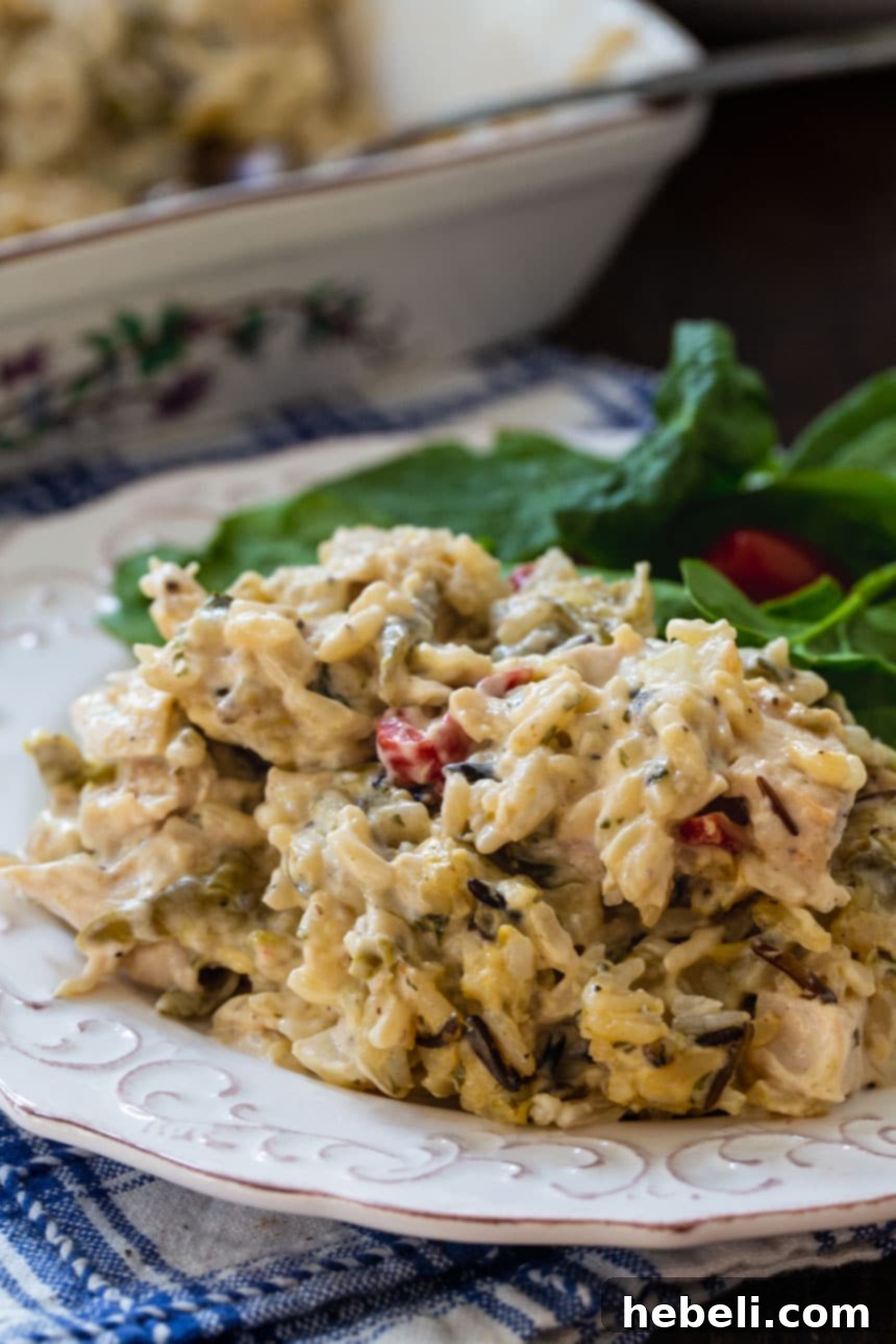 A close-up of Chicken Wild Rice Casserole on a plate, showcasing the creamy texture and various ingredients.