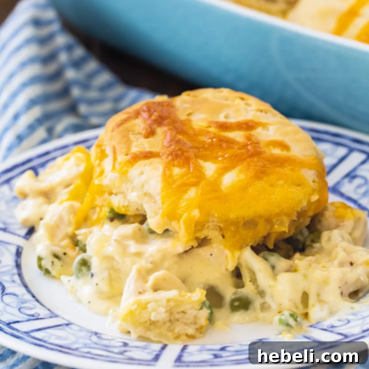 Creamed Chicken and Biscuits on a blue and white plate, ready to be served.