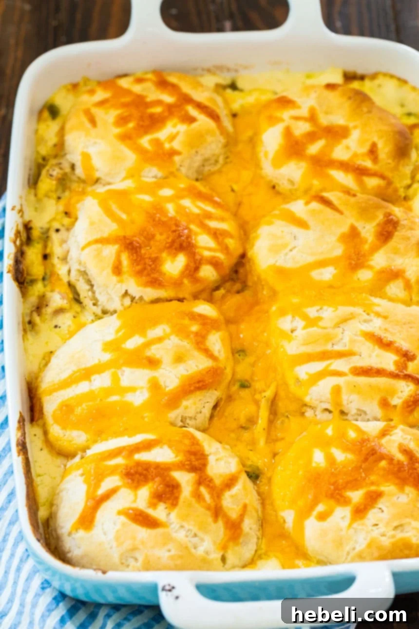 Easy Creamed Chicken and Biscuits baked to perfection in a casserole dish.