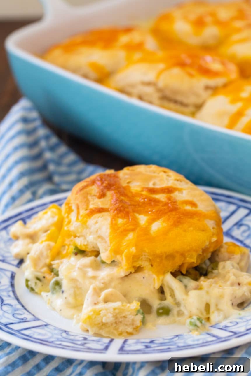 Easy Creamed Chicken and Biscuits, showcasing the golden-brown biscuits.