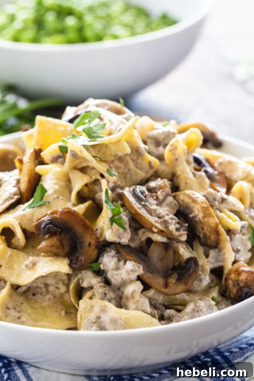Hearty Homestyle Ground Beef Stroganoff 4 Clos-up of Ground Beef Stroganoff