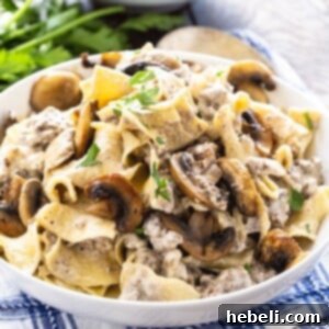 Ground Beef Stroganoff with egg noodles in a white bowl