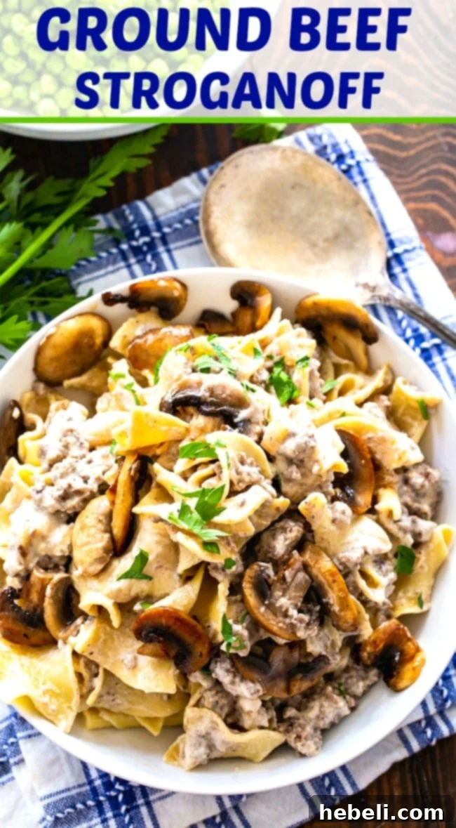 Hearty Homestyle Ground Beef Stroganoff 6 Ground Beef Stroganoff with egg noodles in a white bowl