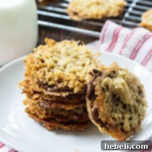 Crisp Chocolate Florentine Cookies on a white plate, showcasing their inviting texture.