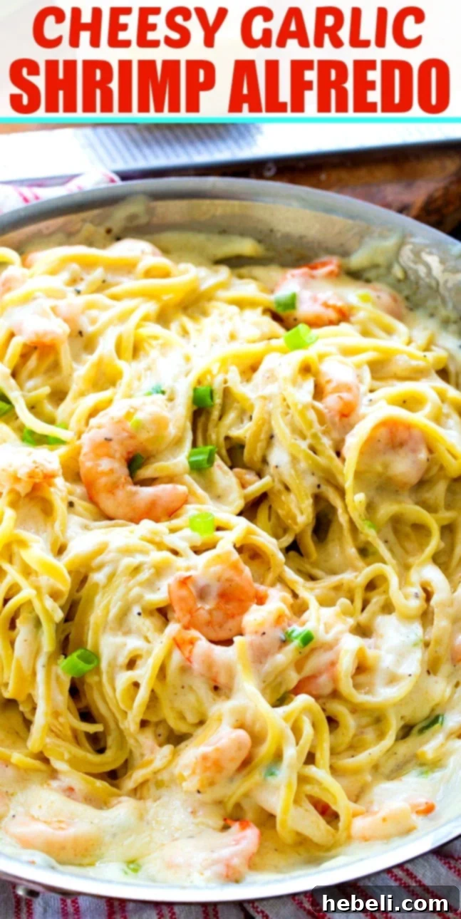 A close-up shot of Cheesy Garlic Alfredo with Shrimp, highlighting the creamy sauce and perfectly cooked shrimp.