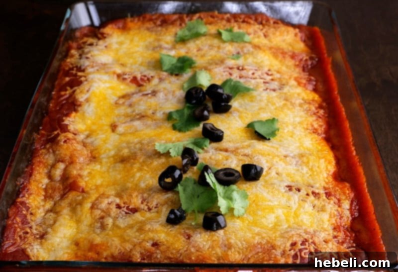Kıymalı Enchilada 8 Baked ground beef enchiladas removed from the oven, topped with melted cheese.