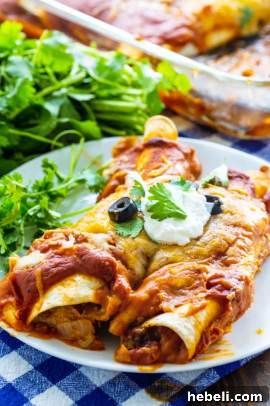Kıymalı Enchilada 9 Ground Beef Enchiladas on a white plate garnished with fresh cilantro.