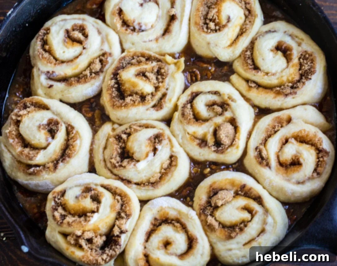Unbaked Bourbon Pecan Cinnamon Rolls nestled in a cast iron pan, ready for their second rise.