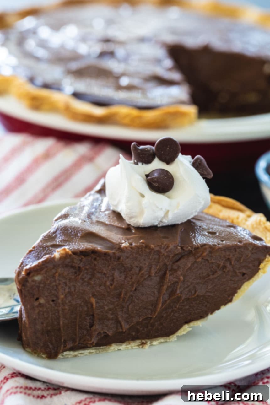A close-up of a slice of Dark Chocolate Pie, perfectly topped with whipped cream and chocolate chips.