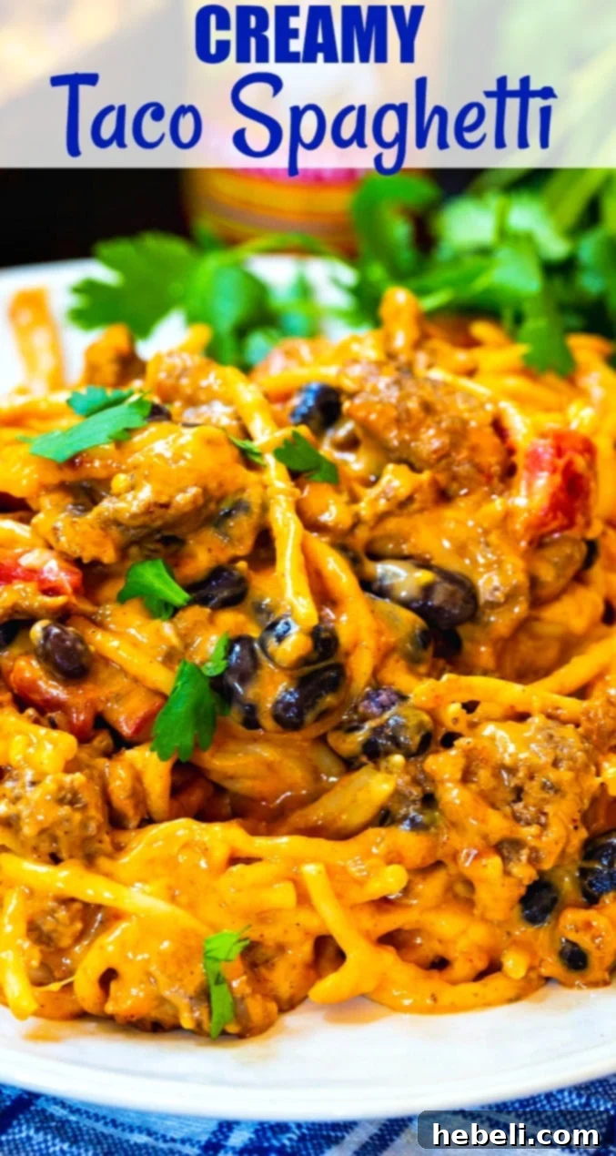 Tex-Mex Noodle Delight 6 Close-up of Creamy Taco Spaghetti on a white plate, garnished with fresh cilantro.