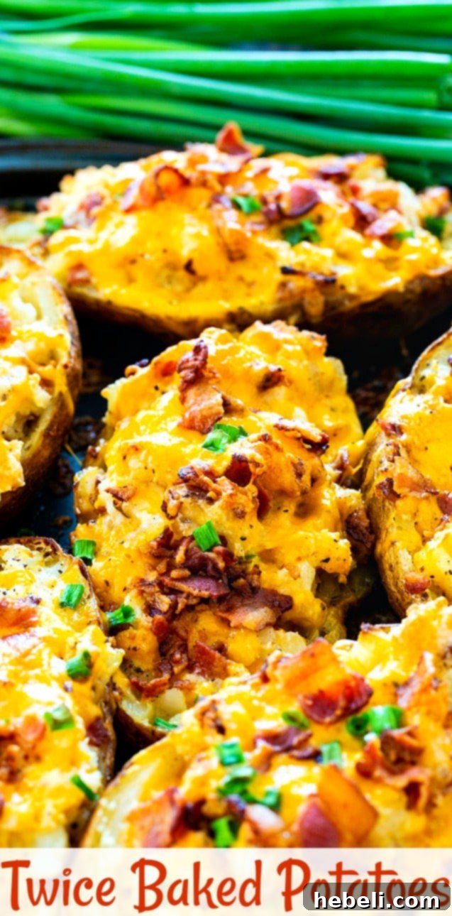 Beautifully arranged stuffed potatoes, showcasing their golden-brown tops and rich filling.