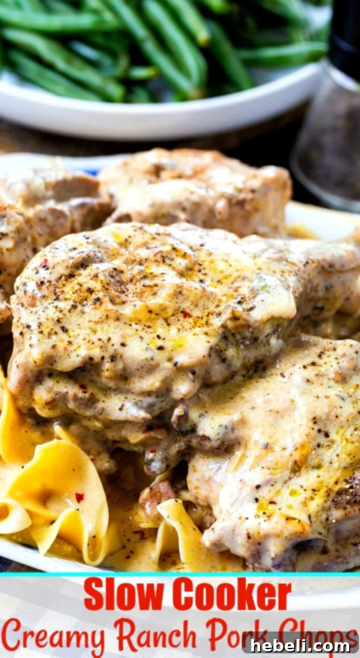 Close-Up of Creamy Ranch Pork Chops, showcasing the rich sauce and tender meat.