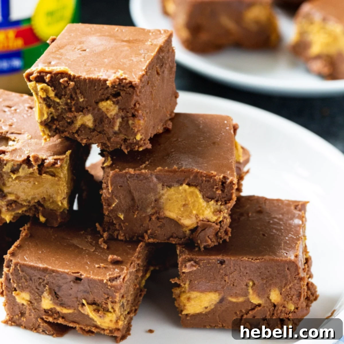 Decadent Peanut Butter Chocolate Fudge 2 Chocolate Peanut Butter Fudge stacked on a plate, showcasing its beautiful swirl.