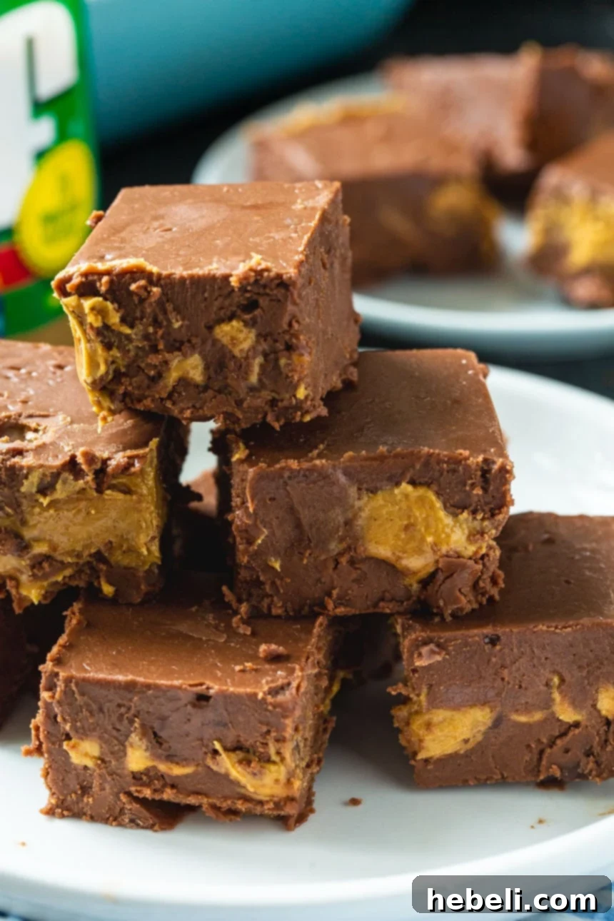 Decadent Peanut Butter Chocolate Fudge 4 Close-up of Peanut Butter and Chocolate Fudge pieces, showing the perfect swirl texture.