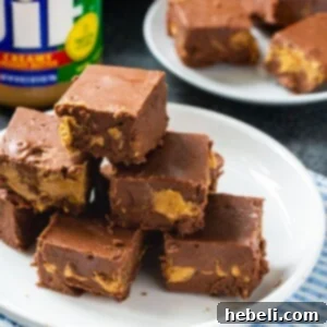 Fudge piled up on a white plate.