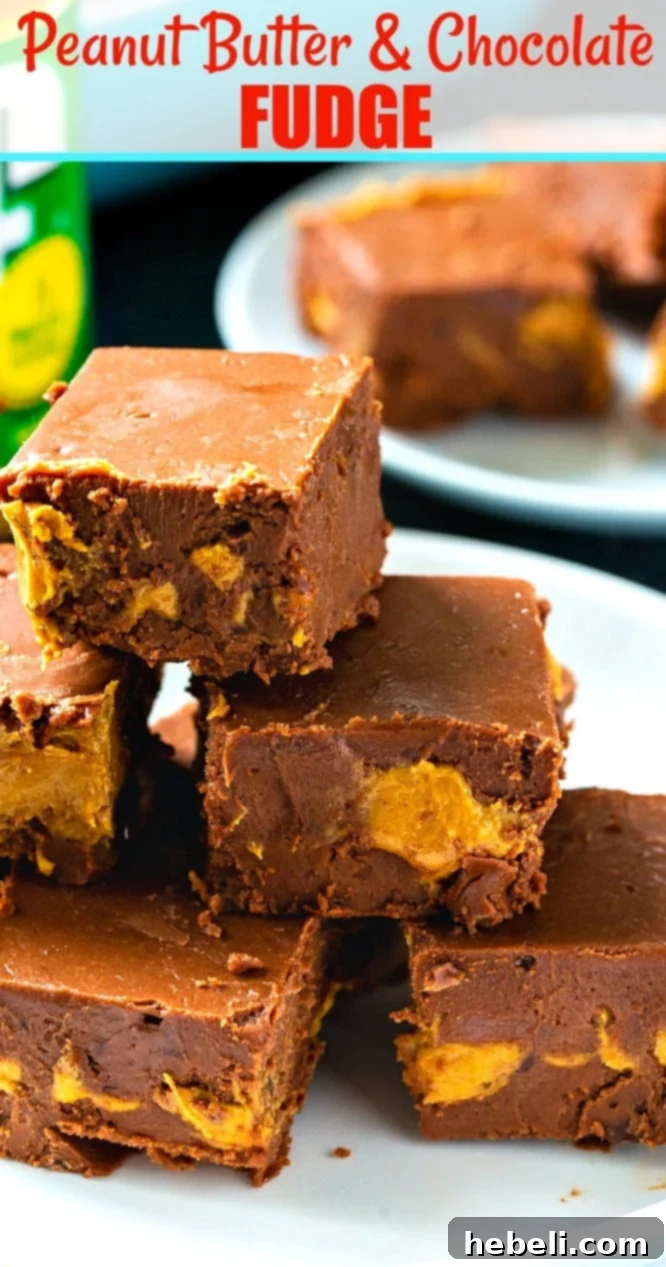 Decadent Peanut Butter Chocolate Fudge 6 A beautifully composed shot of Peanut Butter and Chocolate Fudge squares, ready to be enjoyed.