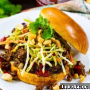 Close-up of Kung Pao Sloppy Joes