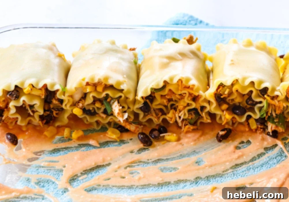Tex-Mex Chicken Lasagna Pinwheels 4 Several uncooked Southwestern Chicken Lasagna Roll-Ups meticulously placed seam-side down in a baking dish, ready for sauce and baking.