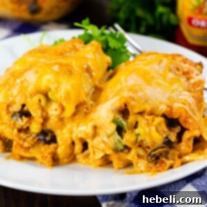 Tex-Mex Chicken Lasagna Pinwheels 7 Two Southwestern Chicken Lasagna Roll-Ups on a plate.