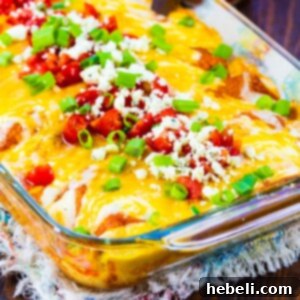 Zesty Buffalo Chicken Enchiladas 5 Buffalo Chicken Enchiladas