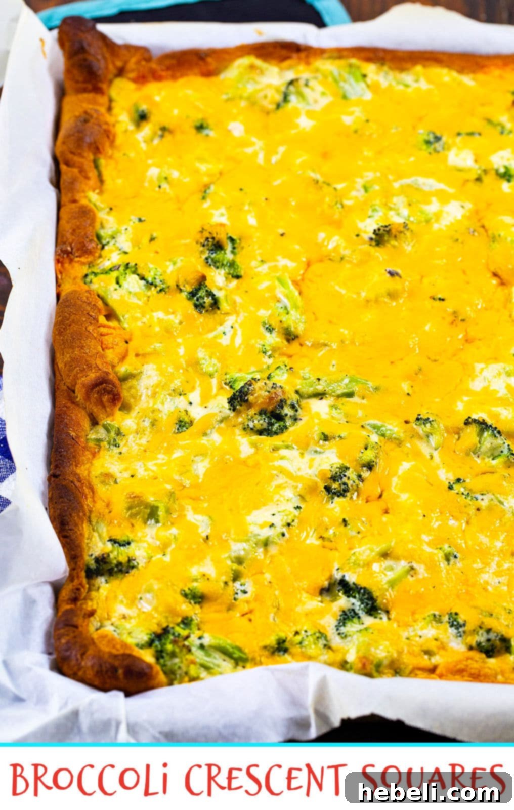 Broccoli Crescent Squares baked in a jelly roll pan, golden brown and ready to be cut.