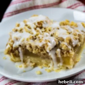 Oatmeal Crumb Apple Bars, a close-up of the delicious dessert.