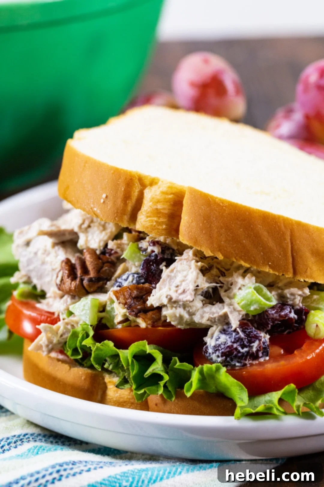 Closeup of a freshly prepared Turkey Salad sandwich, showing the rich filling with cranberries and pecans, nestled between crisp lettuce and a slice of ripe tomato on toasted bread.