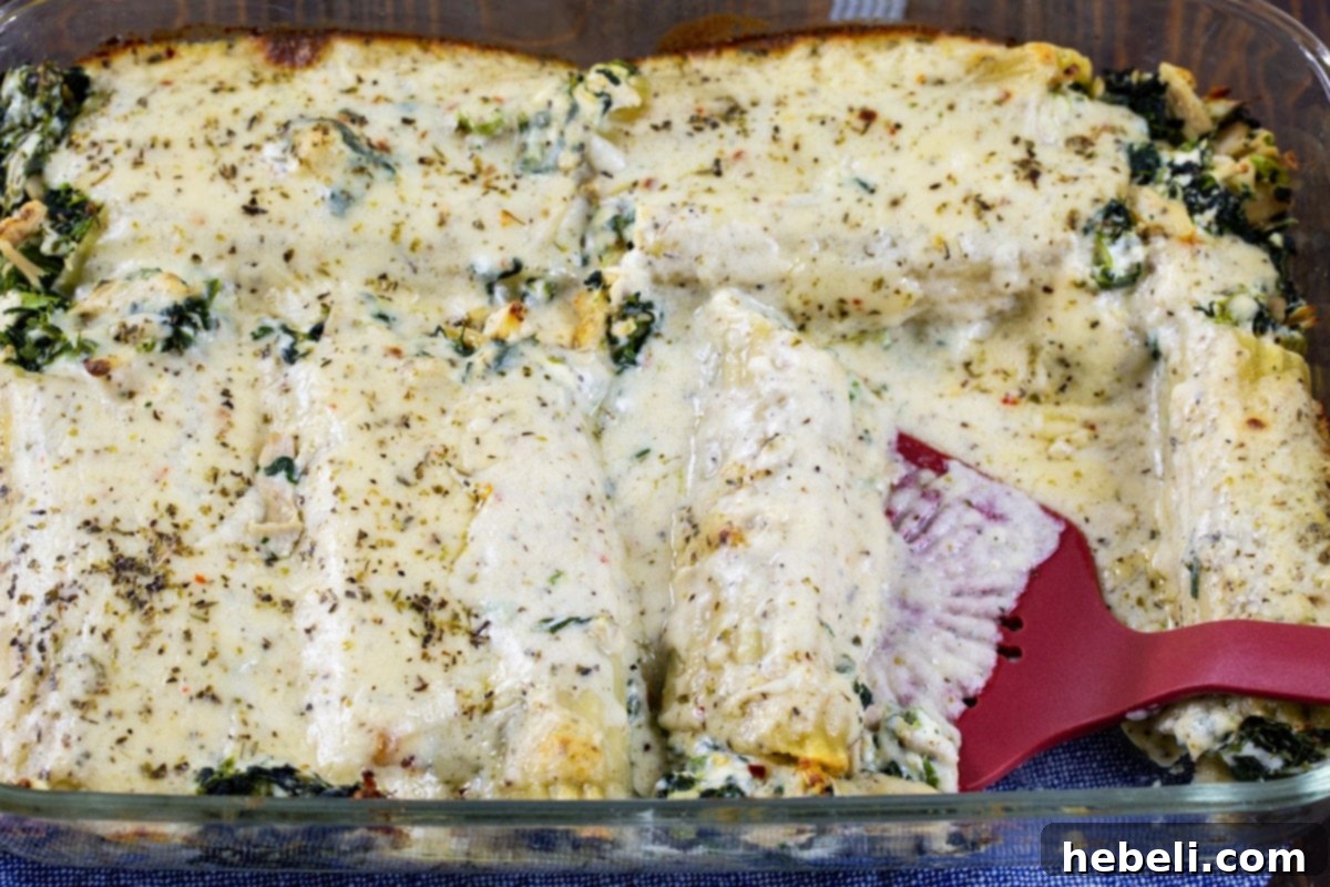 Creamy Chicken Florentine Manicotti 3 Cooked Manicotti in a 9x13-inch baking dish, ready for the oven.