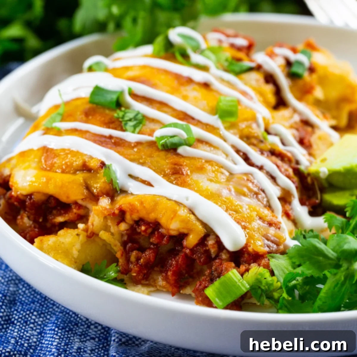 Chipotle Chicken Enchiladas on a plate with fresh cilantro.