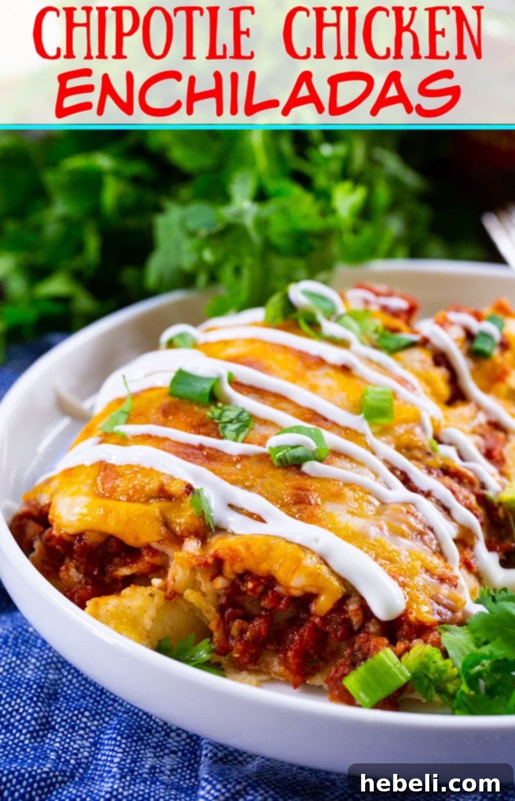 Chipotle Chicken Enchiladas on a plate.