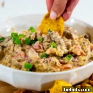 Finished 3-Ingredient Rotel Sausage Dip in a bowl.