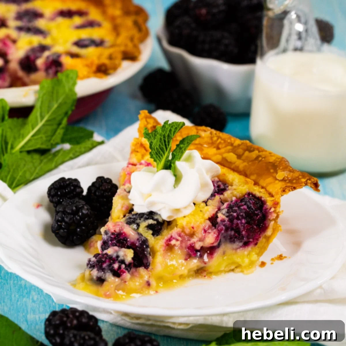 A beautiful slice of Blackberry Buttermilk Pie topped with a dollop of fresh whipped cream, showcasing the rich custard and whole blackberries.