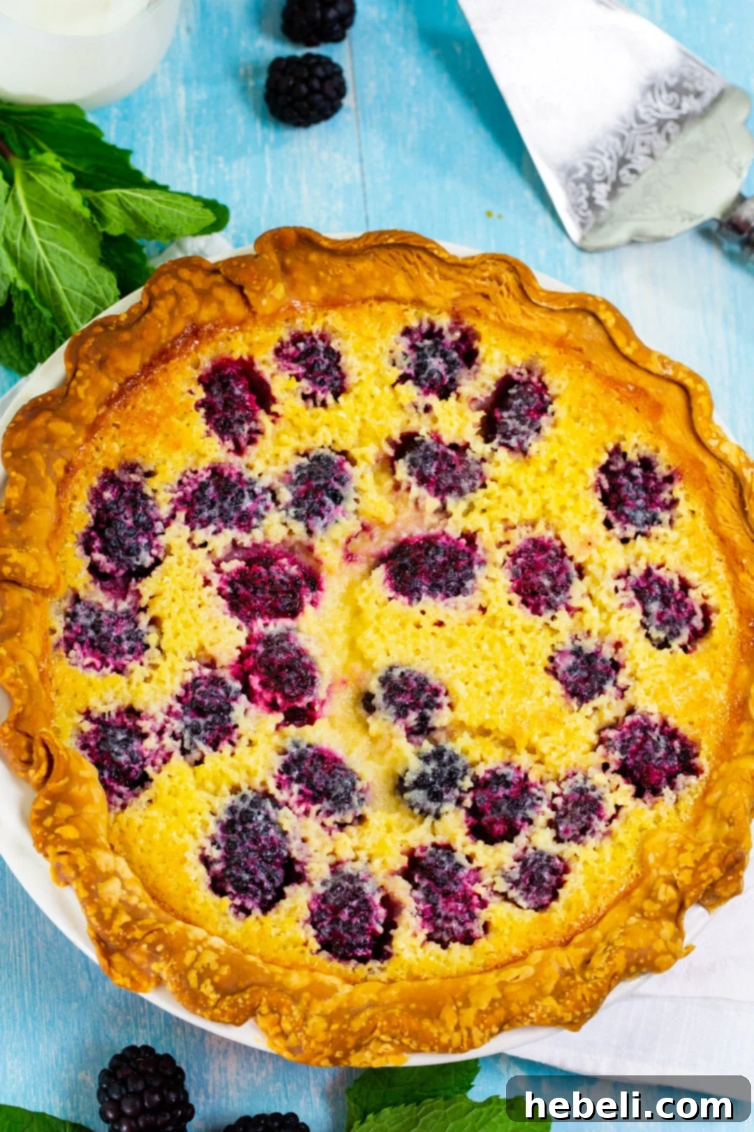 A perfectly baked whole Blackberry Buttermilk Pie in a pie pan, golden brown and inviting.