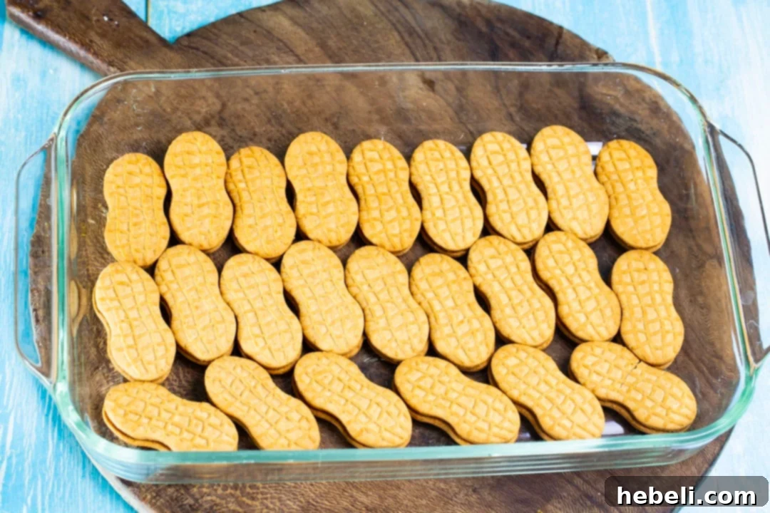 Nutter Butter cookies carefully arranged in a 9x13-inch pan, forming the base layer.