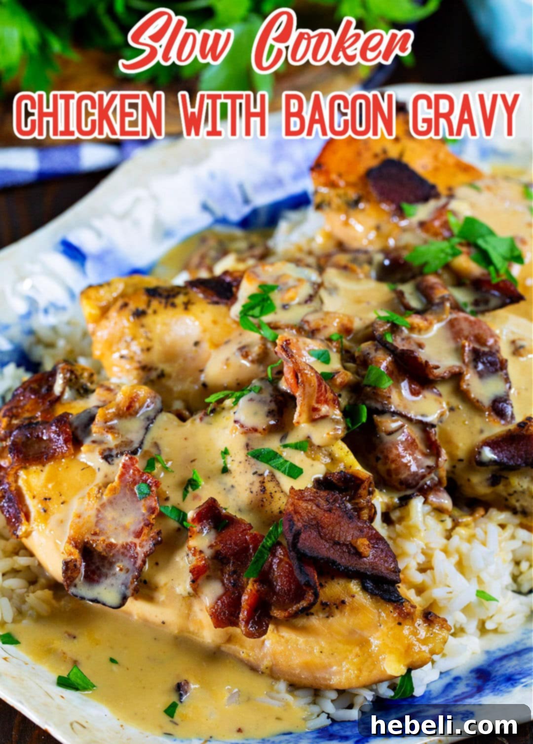 A bowl of slow cooker chicken with bacon gravy over white rice, garnished for serving.