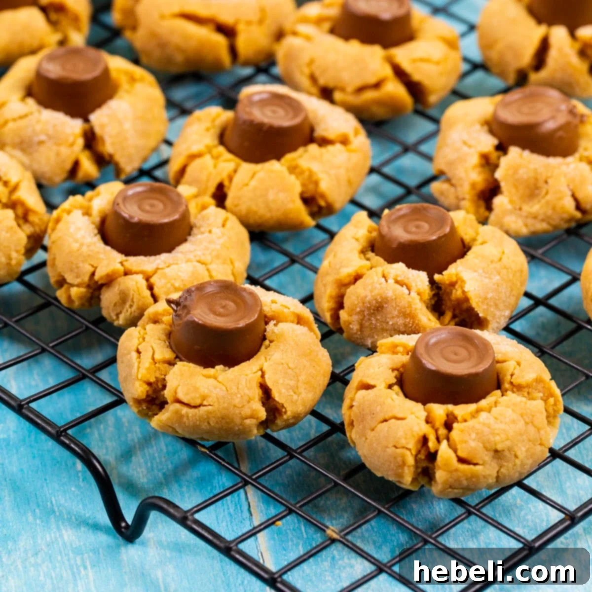 Chewy Caramel Chocolate Blossoms 2 Delicious Rolo Blossom Cookies cooling on a wire rack.
