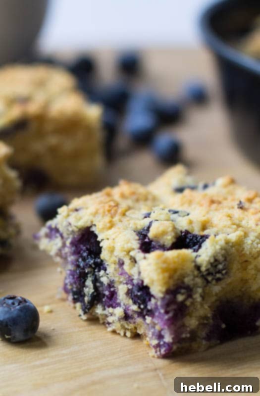 Close-up of a slice of Blueberry Cornbread.
