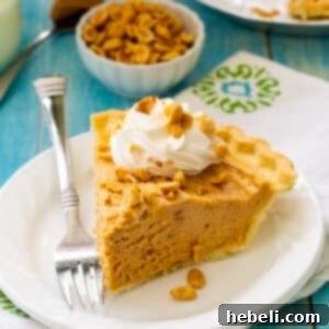 Old-Fashioned Peanut Butter Pie served with whipped cream and chopped peanuts.