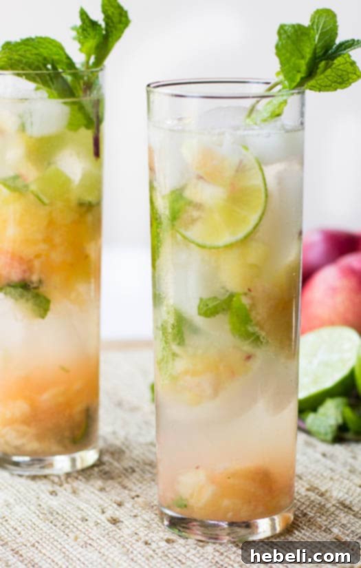 Summer Nectarine Mojito 5 A close-up view of a single Nectarine Mojito in a tall glass, highlighting the muddled fruit and mint, with a garnish of lime and nectarine.