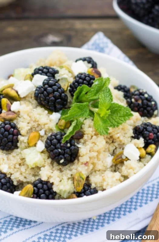 Berry Bright Quinoa Medley 2 Blackberry Quinoa Salad in a bowl topped with fresh mint.