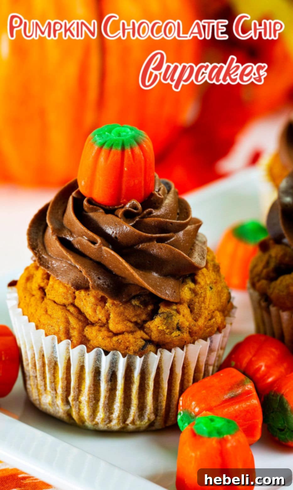 A delectable close-up of a Pumpkin Chocolate Chip Cupcake, highlighting the fluffy chocolate frosting and moist cake texture.