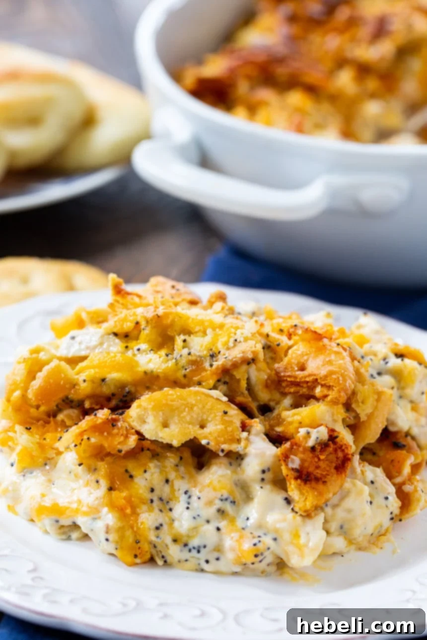 Classic Poppy Seed Chicken Casserole 4 Close-up of Poppy Seed Chicken Casserole, showing the rich, creamy chicken and the golden, crunchy Ritz cracker topping.