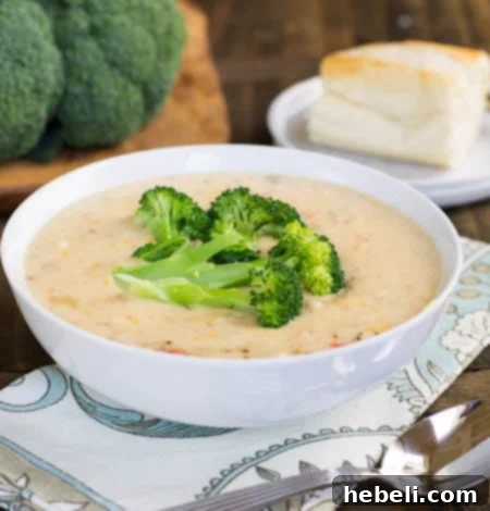 Queso-Broccoli Potato Soup