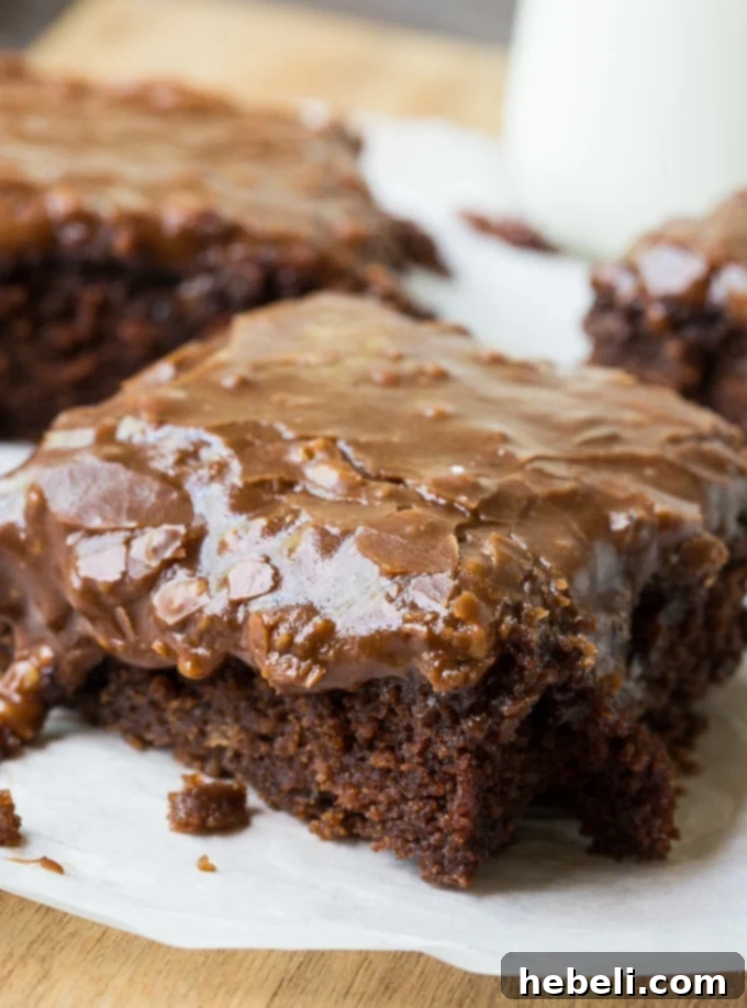 Velvety Chocolate Buttermilk Indulgence 9 A large rectangular chocolate buttermilk cake with smooth, dark chocolate icing and a few pecans on top, ready to be served.