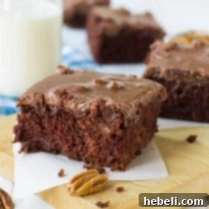 Velvety Chocolate Buttermilk Indulgence 10 Delicious Chocolate Buttermilk Cake with Frosting