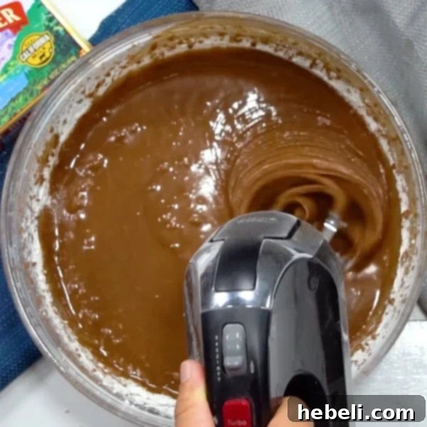 Velvety Chocolate Buttermilk Indulgence 6 The finished chocolate buttermilk cake batter, smooth and ready for baking, captured in a large mixing bowl.