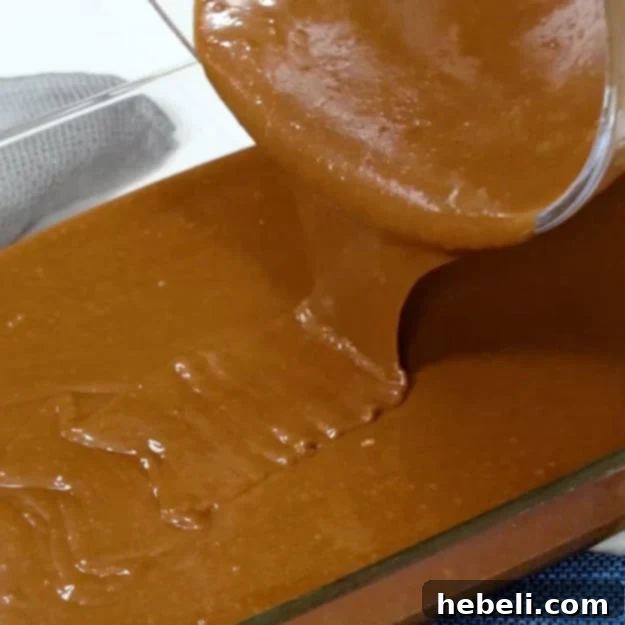 Velvety Chocolate Buttermilk Indulgence 7 Pouring the rich chocolate buttermilk cake batter into a prepared 9x13-inch baking pan, ready for the oven.