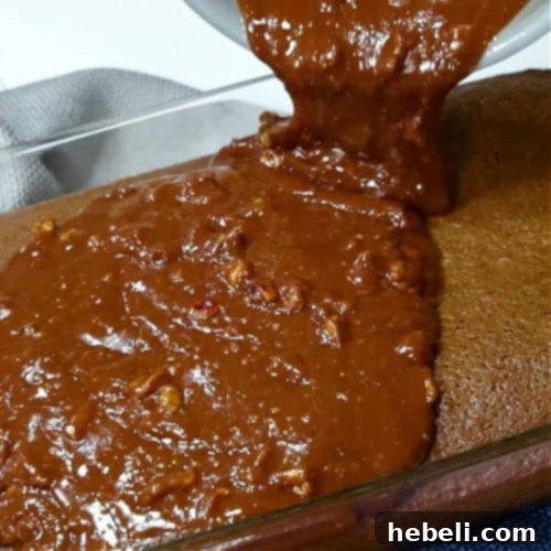 Velvety Chocolate Buttermilk Indulgence 8 Pouring the warm, fudgy chocolate frosting over the freshly baked chocolate buttermilk cake, creating a luscious layer.