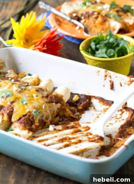 Smoky Ancho Pumpkin Pulled Pork Enchiladas 4 Plated Pumpkin-Ancho Enchiladas with Pulled Pork, garnished with fresh cilantro and crumbled cheese