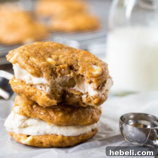 Decadent Pumpkin White Chocolate Chip Cookies 2 Moist Pumpkin-White Chocolate Chip Cookies with Macadamia and Coconut